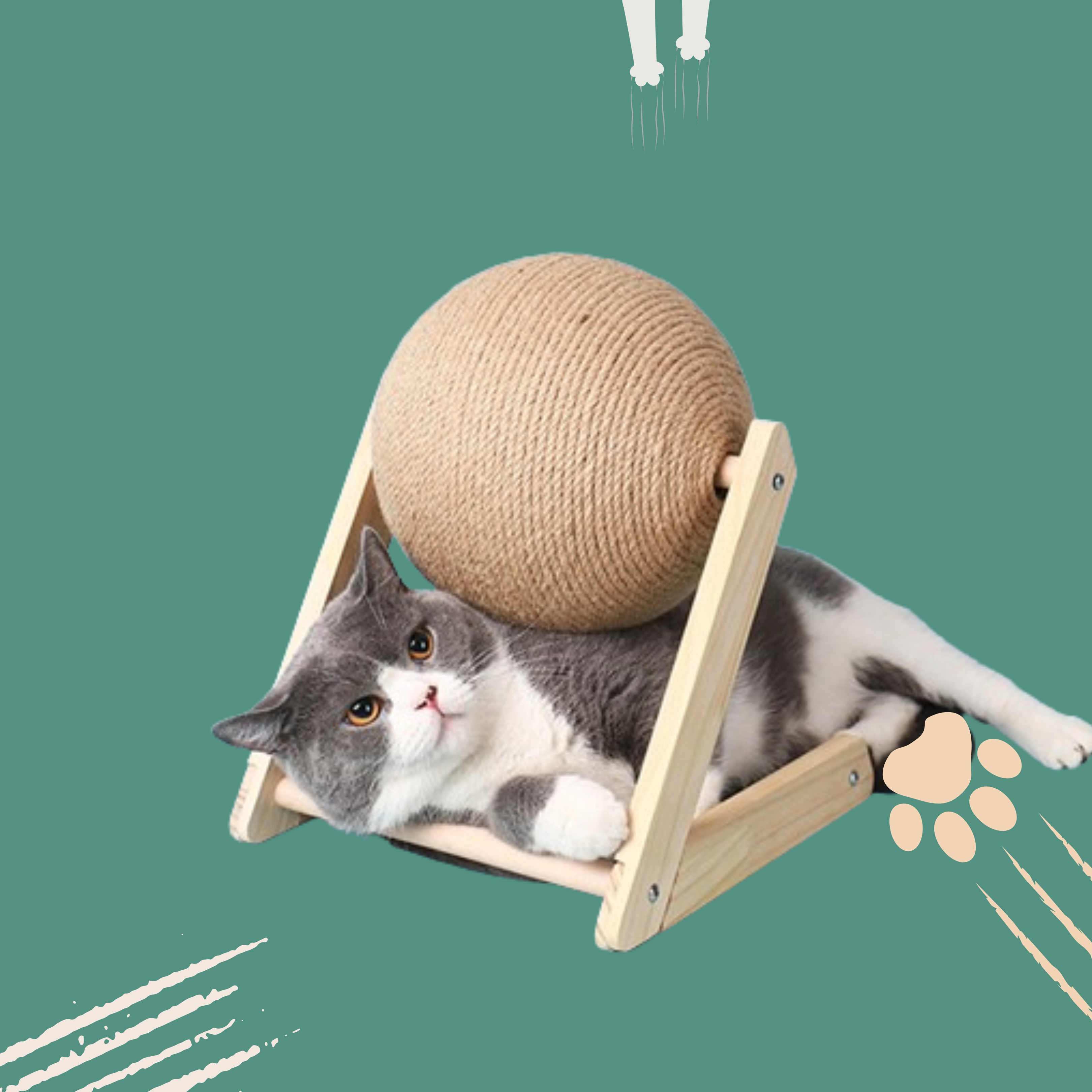 Cat Scratching and Stretching Rope Ball Board