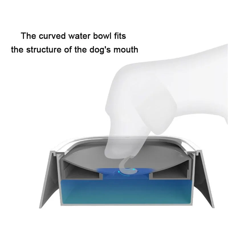 Anti-Overflow Water Dispenser for Paws