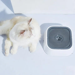 Anti-Overflow Water Dispenser for Paws